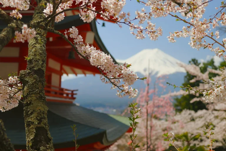 Japan Visa Requirement